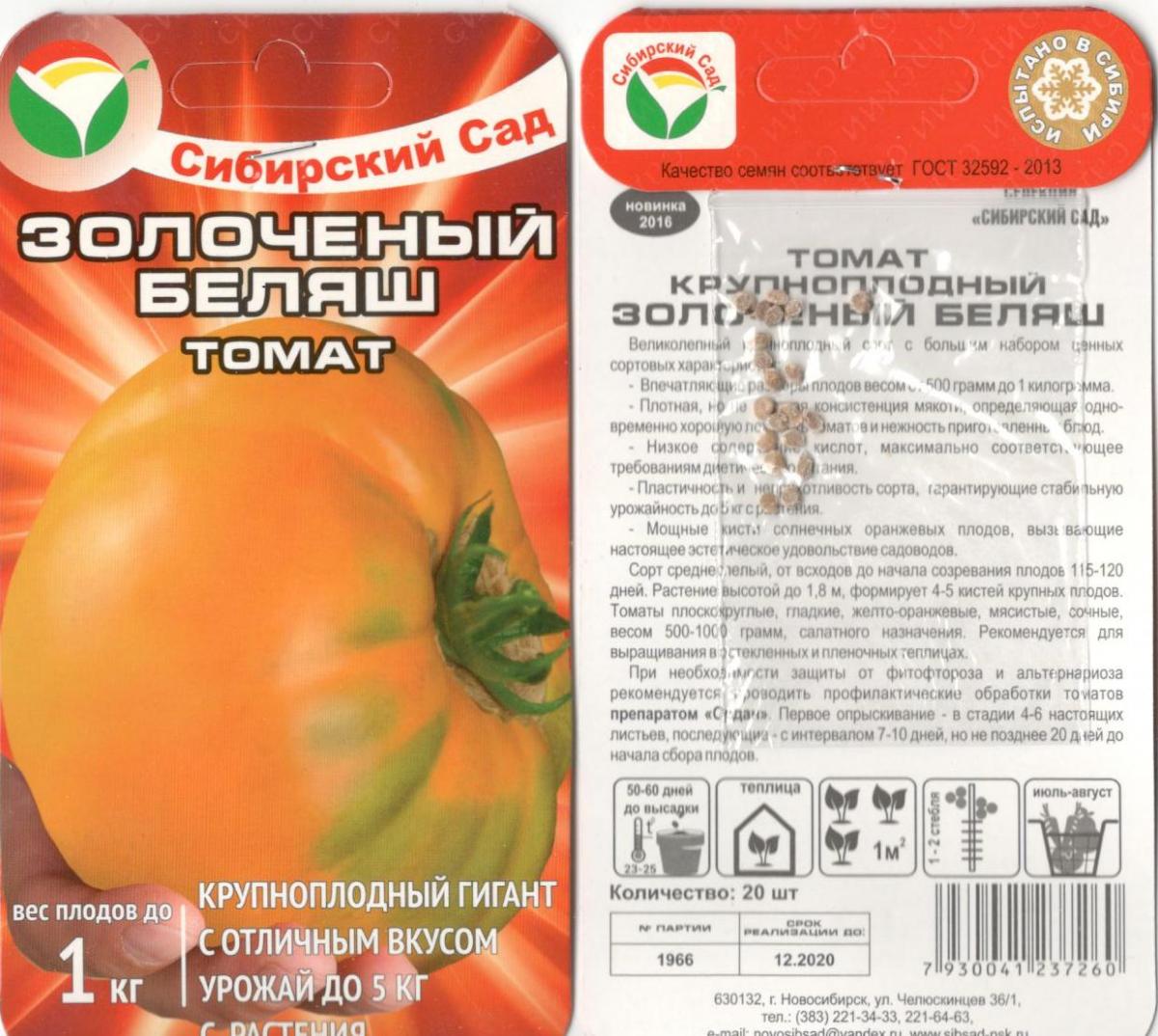 Характеристика крупноплодных томатов Золоченый беляш и агротехника выращивания сорта