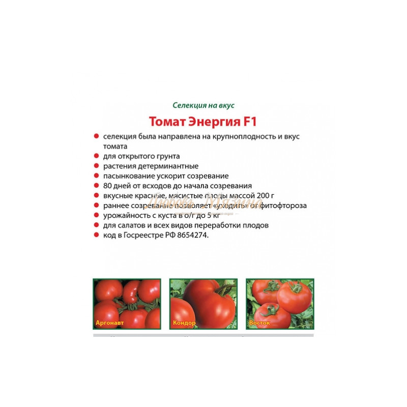 Томат санта клаус: описание и характеристика сорта, выращивание и уход с фото