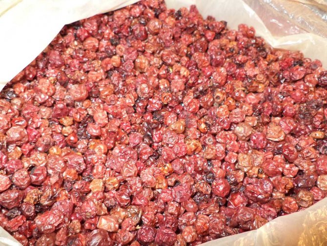 Брусника на зиму - способы заморозки ягод, рецепты варенья, сока и компота
