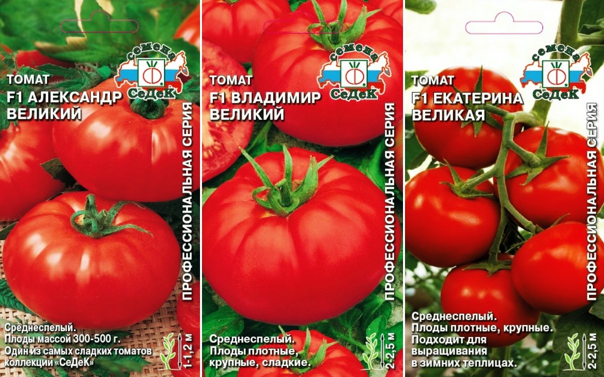 Томат "катя" f1: характеристики и высота куста, описание урожайности сорта, фото-материалы, советы по выращиванию помидор русский фермер