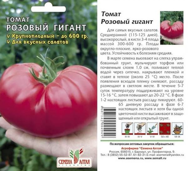 Самые урожайные сорта помидоров для открытого грунта