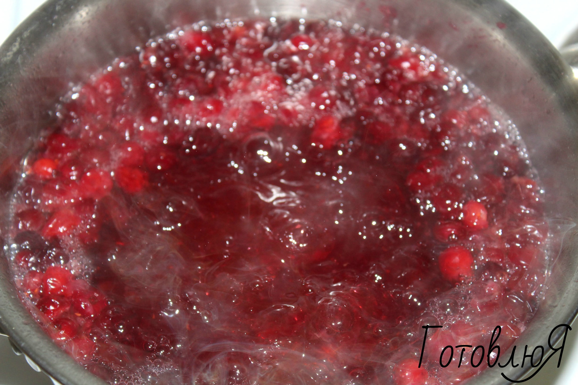 Клюквенный морс: рецепт из замороженных и свежих ягод
