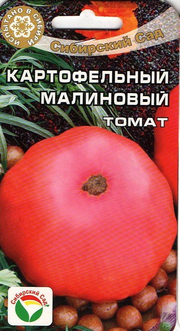 Томаты «картофельный малиновый»: описание сорта, фото поспевших помидор, урожайность, а также особенности, достоинства и недостатки русский фермер