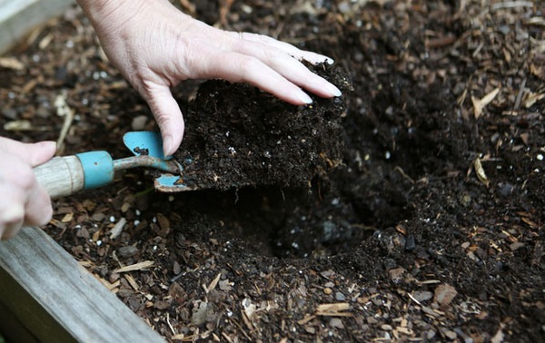 Как подготовить почву для огурцов весной в теплице и какую землю они любят