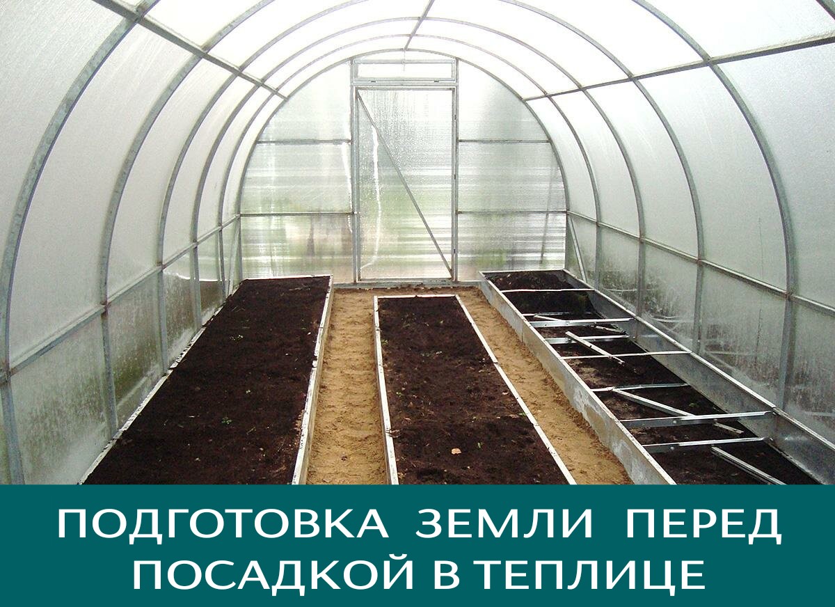 Подготовка почвы в теплице осенью под помидоры