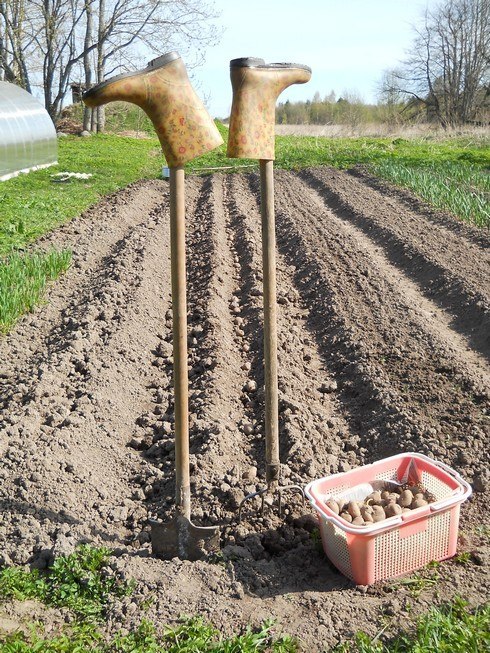 Как правильно копать огород (грядки), сколько раз и когда