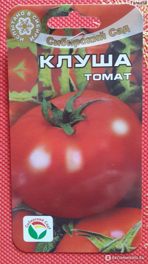 Описание сорта томата яна, особенности выращивания и урожайность