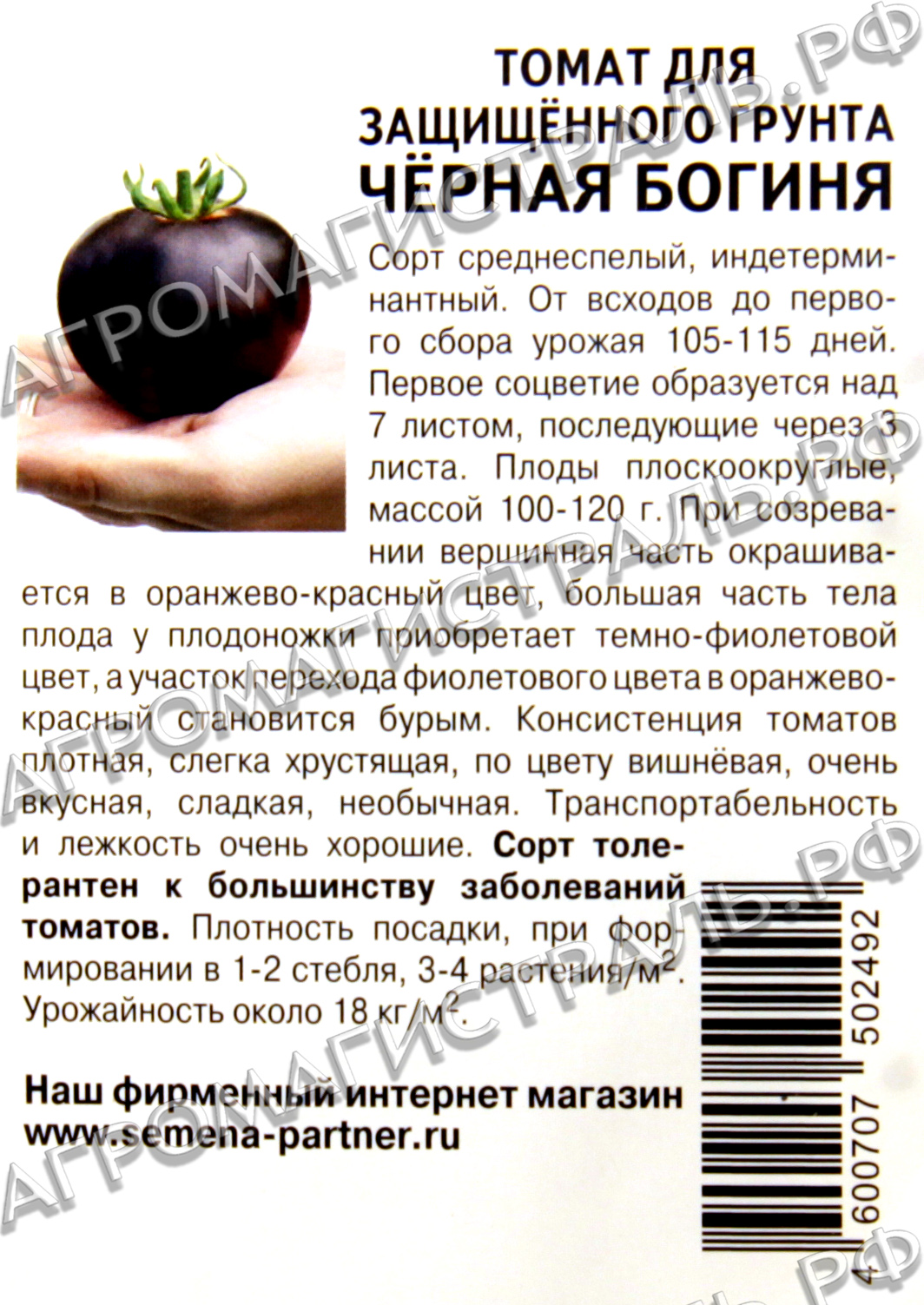 Томат Черная Магия Описание Сорта Фото Отзывы