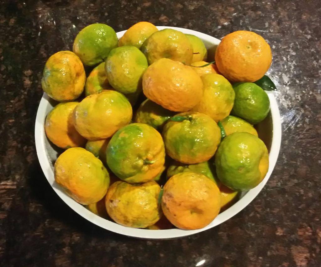 Большой зеленый мандарин. Зеленый мандарин. Мандарины с зеленой кожурой. Мандарины с зелеными листиками названия. Абхазские мандарины.