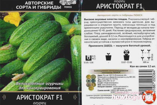 ✅ все о сорте огурца портос: описание, агротехника выращивания и уход - tehnomir32.ru