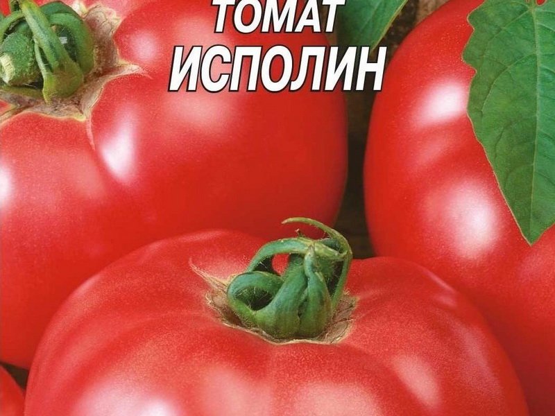 Томаты для ростовской области: семена – лучшие сорта