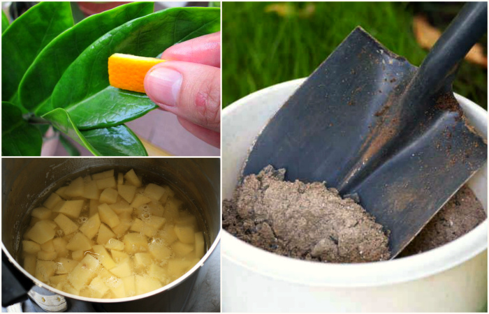 Как пользоваться жидкими удобрениями: виды (органические и минеральные), как сделать дома