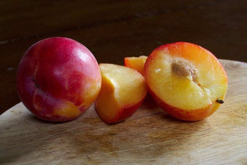 Гибрид сливы и абрикоса: характеристика и описание, лучшие сорта, особенности выращивания и ухода, фото
