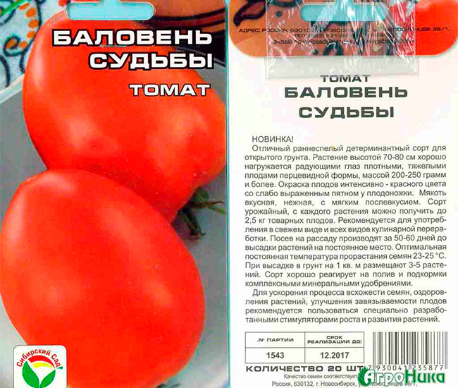 Описание сорта томата сахар красный и его характеристика