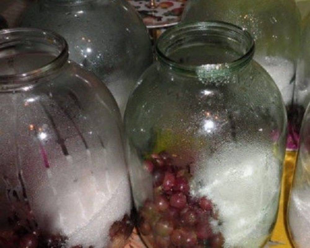 Виноградный компот — 5 фото рецептов вкуснейшего компота из винограда за зиму