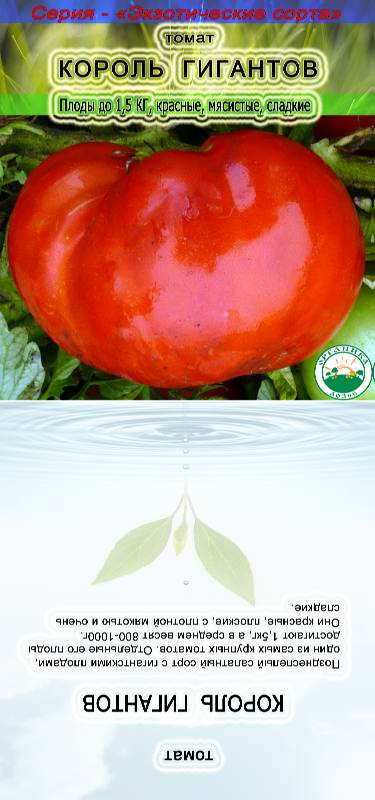 Король королей – повелитель томатных полей. описание и рекомендации по выращиванию крупноплодного сорта