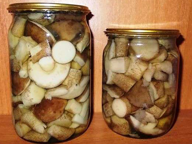 Как солить белые грибы на зиму: простые рецепты домашних заготовок