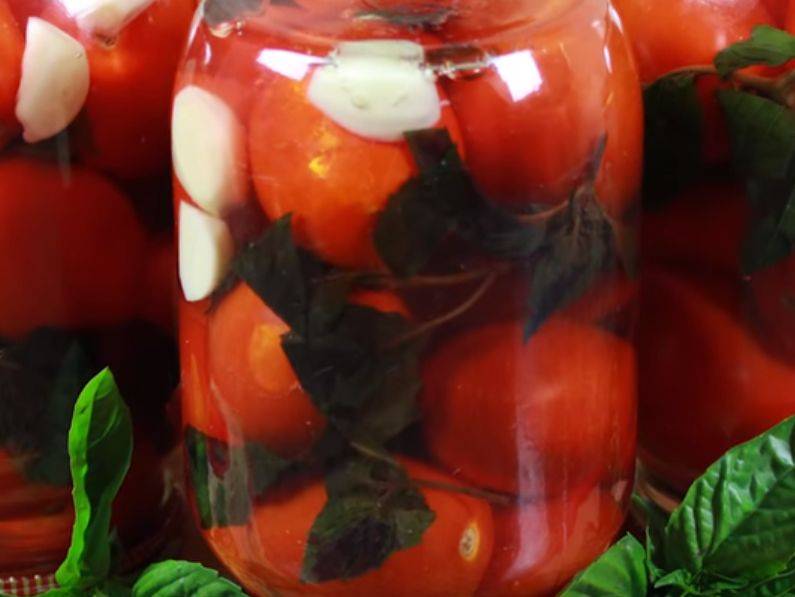 Рецепты маринованных помидоров с базиликом на зиму, подготовка продуктов и условия хранения