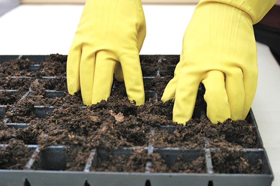 Подготовка почвы для рассады своими руками