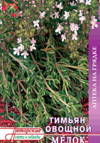 Тимьян: выращивание из семян и уход, методики посадки в открытом грунте и на рассаду, размножение в домашних условиях, как обрезать зимой, подготовка