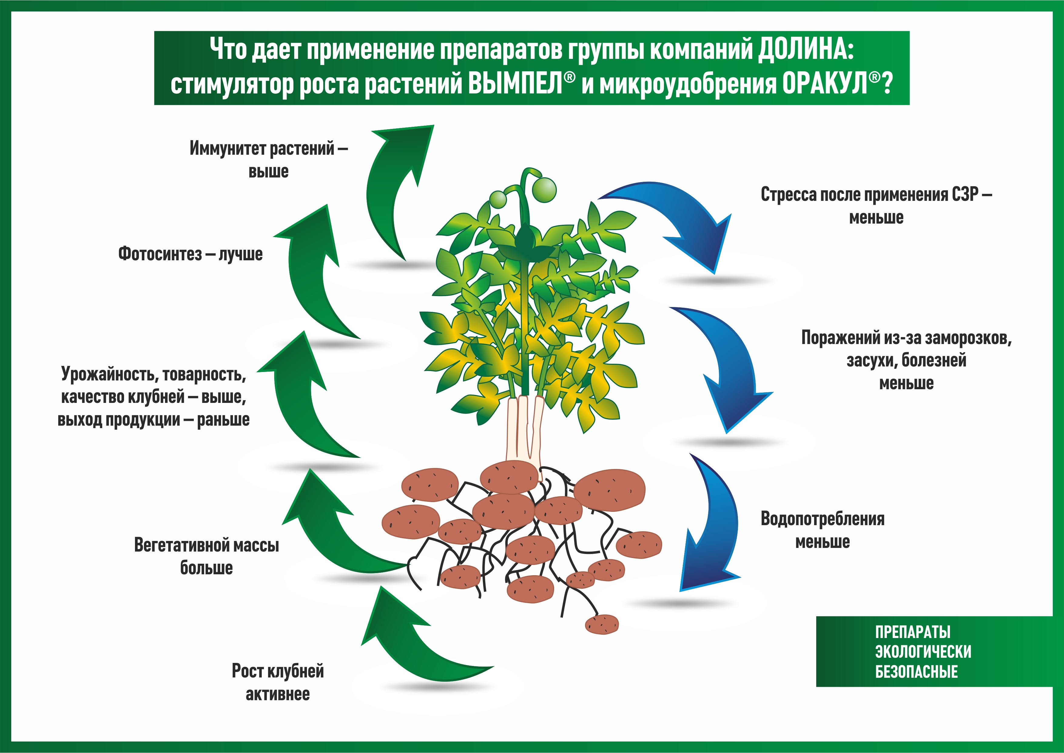 Фитогормоны для растений. Удобрения для растений. Влияние удобрений на растения. Стимуляторы роста и развития растений. Фитогормоны растений.