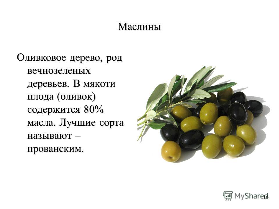 В чем разница между маслинами и оливками: чем отличаются черные плоды от зеленых, что полезнее и вкуснее и какого цвета лучше выбрать
