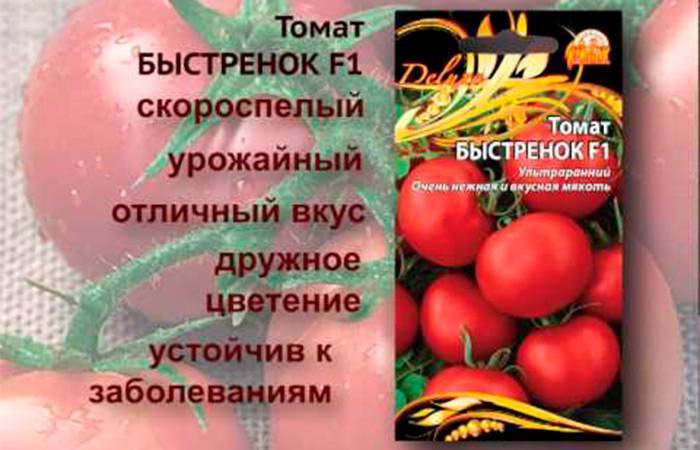 Описание и характеристика сорта томата Быстренок f1, его выращивание