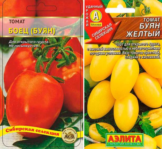 Ребристые томаты: описание, фото, отзывы