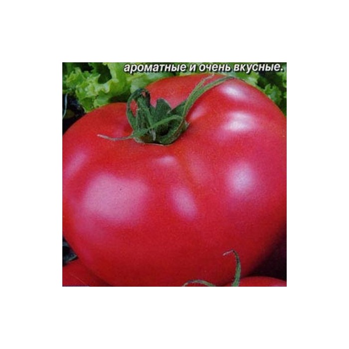 Томат торбей (f1): характеристика и описание сорта помидоров, подробная агротехника и отзывы о её результатах