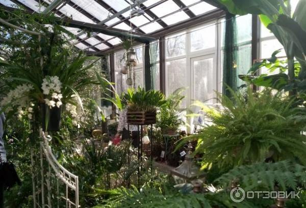 Ботанический сад санкт-петербург - история создание и описание