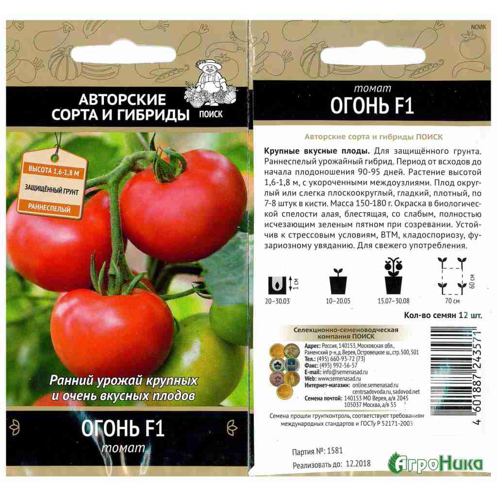 Описание сорта помидор Сват f1, его характеристики и урожайность
