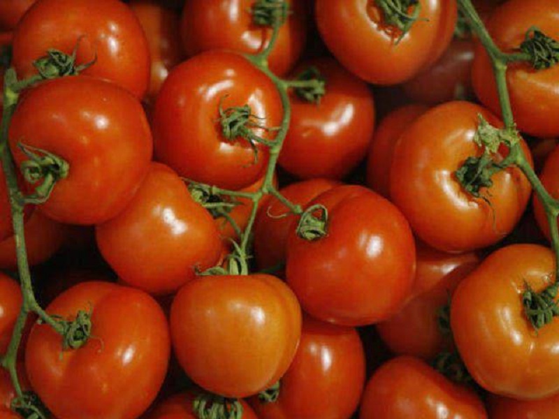 Характеристики и описание томат «марьина f1 роща». отзывы садоводов, фото куста и урожайности.