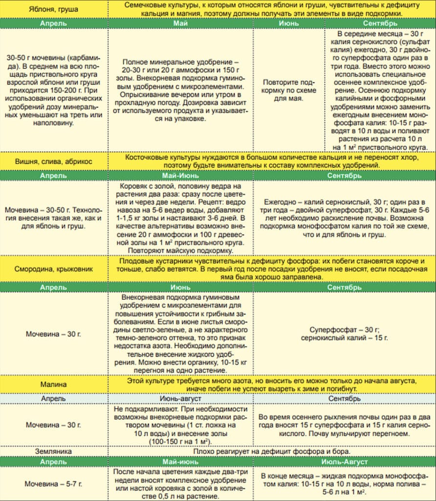 Можно ли опрыскивать абрикос во время цветения. Нормы внесения удобрений для плодовых деревьев. Схема внесения удобрения плодовых деревьев и кустарников. Таблица внесения Минеральных удобрений для деревьев. Нормы внесения Минеральных удобрений под плодовые.