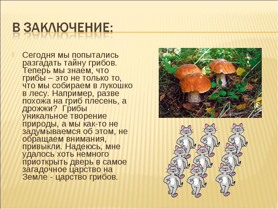 Царский гриб (мухомор цезаря): фото, описание, как выглядит