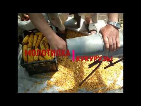 Пошаговое руководство и рекомендации, как своими руками сделать лущилку для кукурузы с чертежами и размерами