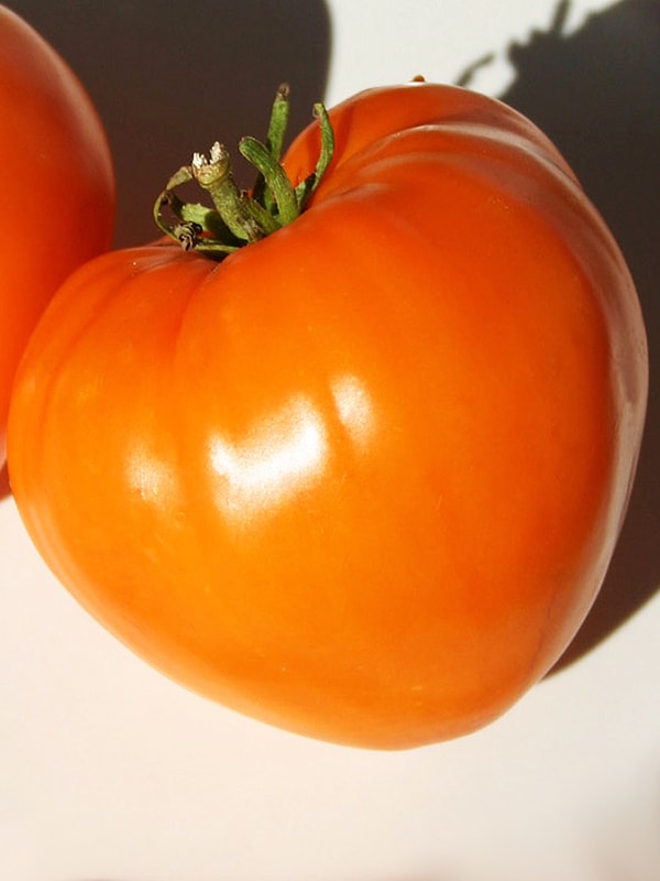 Томат оранжевая клубника: характеристики и описание сорта, урожайность, отзывы, фото