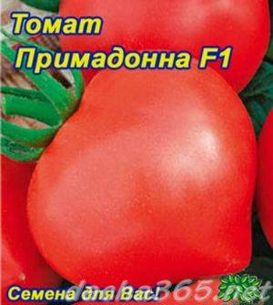 Томат примадонна f1 – отличный вкус и высокая урожайность