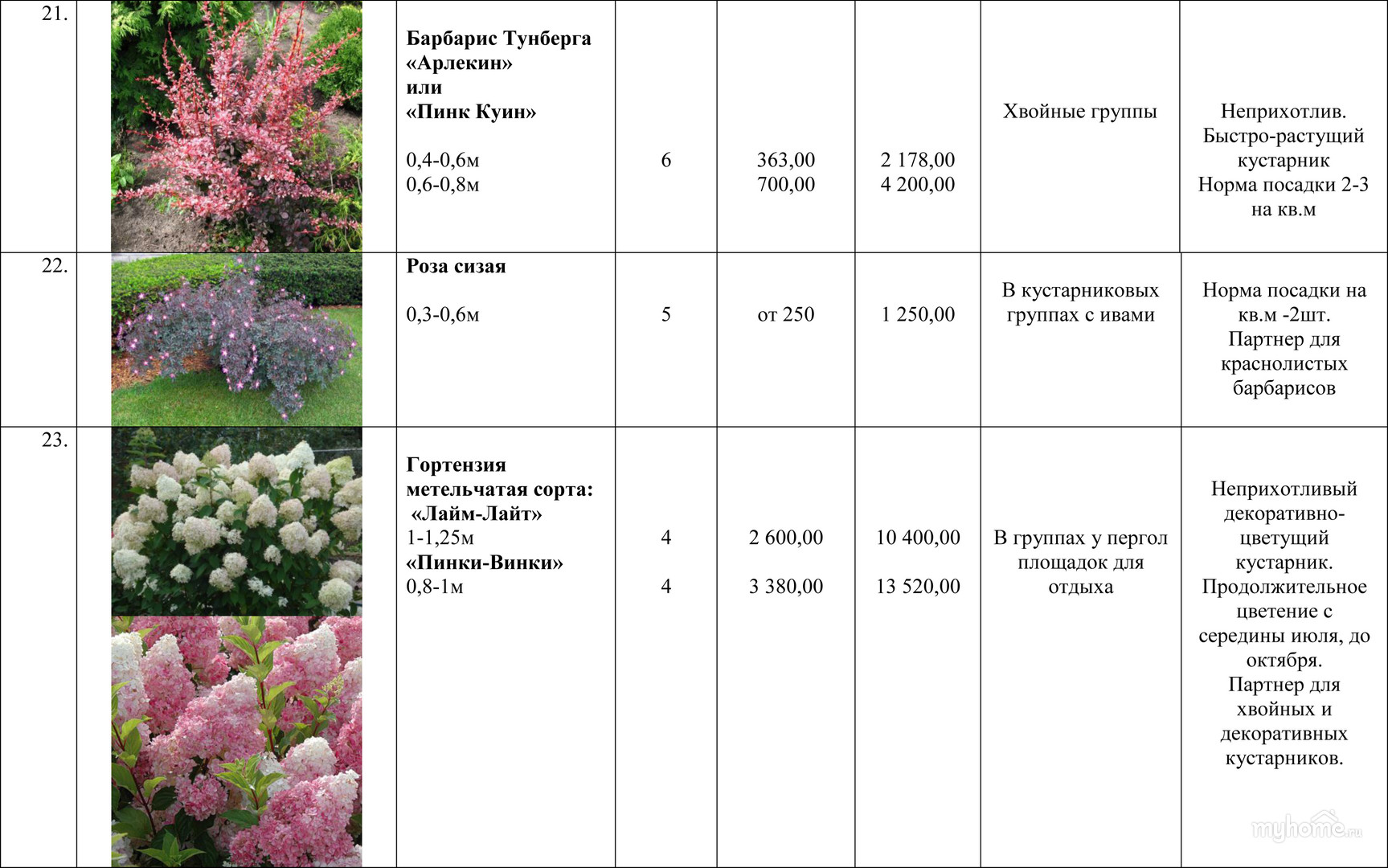 Красивоцветущие кустарники для сада, дачи: названия растений, виды, особенности выращивания