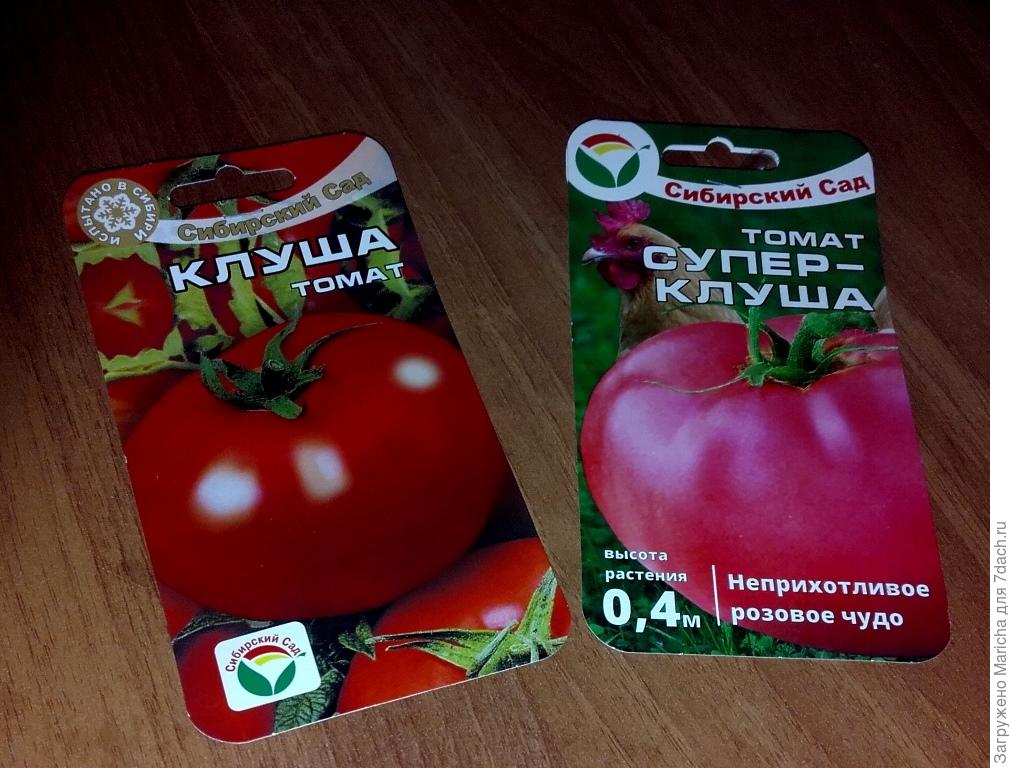 Томат "клуша" (супер клуша): характеристика и описание сорта помидор, фото поспевших плодов, как выращивать в открытом грунте и теплице? русский фермер