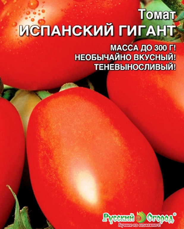 Томат розовый гигант: отзывы, фото, урожайность, описание и характеристика | tomatland.ru