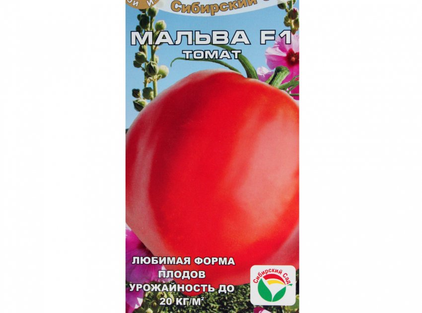 Характеристика сорта томата спецназ, отзывы дачников - всё про сады