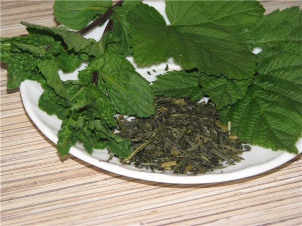 Полезные свойства и противопоказания чая из листьев смородины, лучшие рецепты