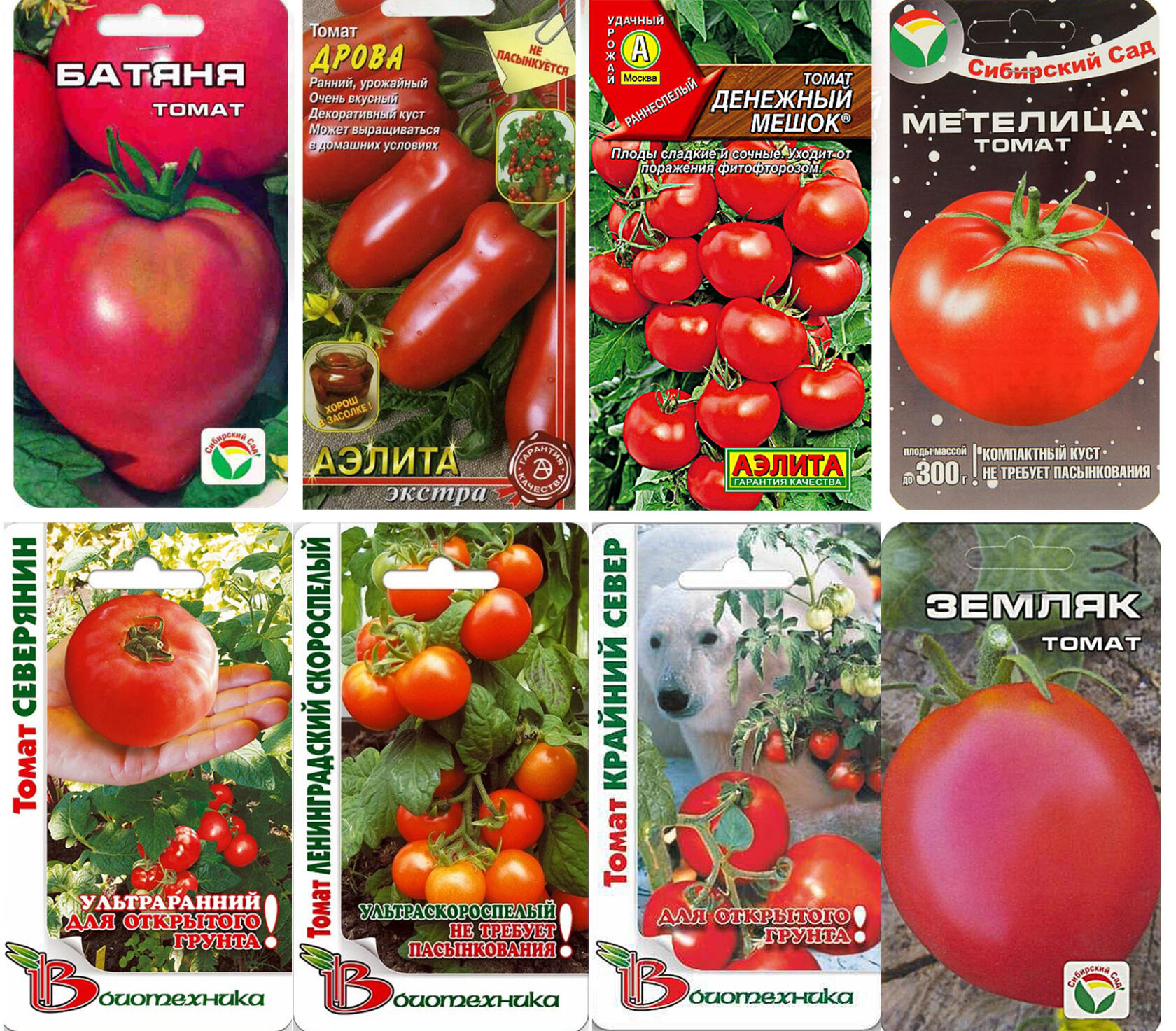Лучшие сорта томатов для подмосковья - советы дачников