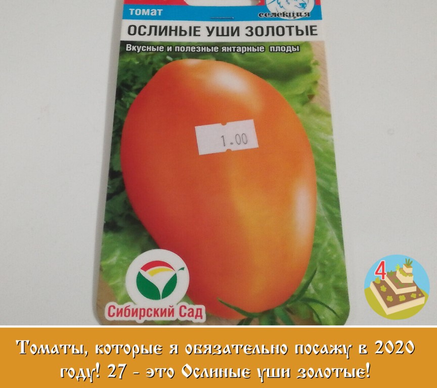 Томат рио гранде: описание сорта, отзывы, фото, урожайность | tomatland.ru