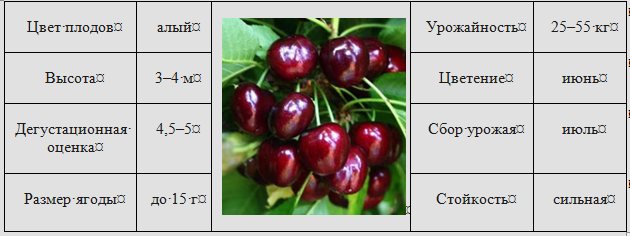 Сорт вишни вянок: описание и фото, характеристики и агротехника selo.guru — интернет портал о сельском хозяйстве