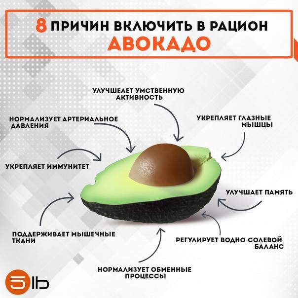 Польза и вред авокадо для мужского и женского организма, правила употребления