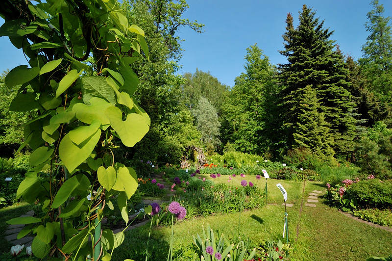 Ботанический сад самара: история создания, особенности, коллекции и экспозиции, режим работы