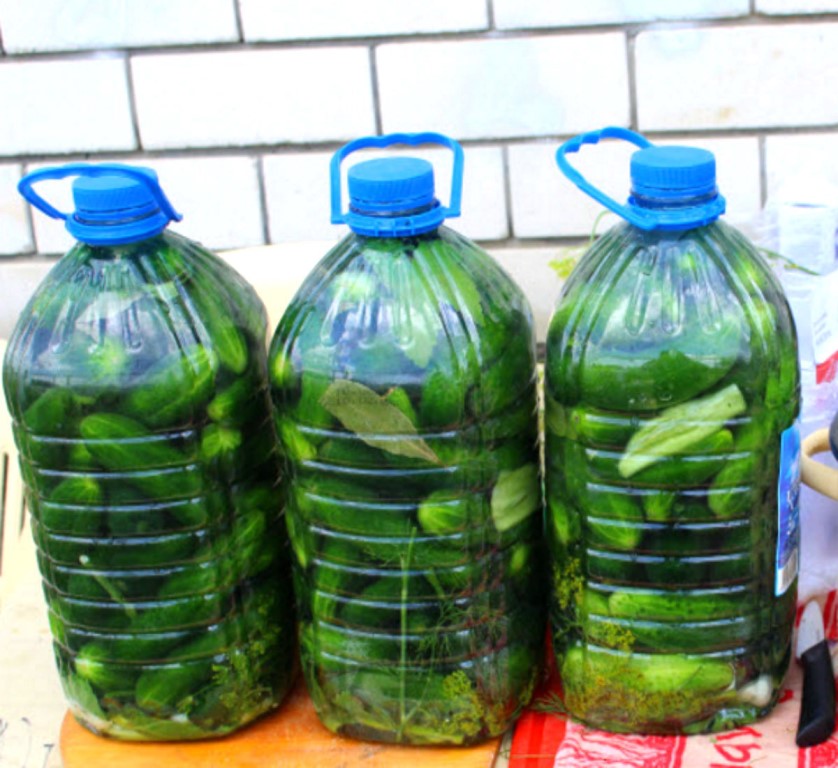 Соленые огурцы в пластиковых бутылках: топ 5 рецептов на зиму с фото и видео