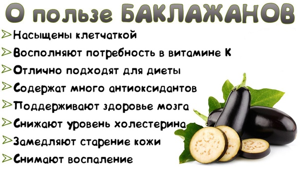 Баклажаны: польза и вред для здоровья человека