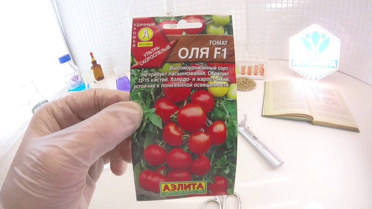 Томат оля f1: характеристика и описание сорта, отзывы, фото, урожайность